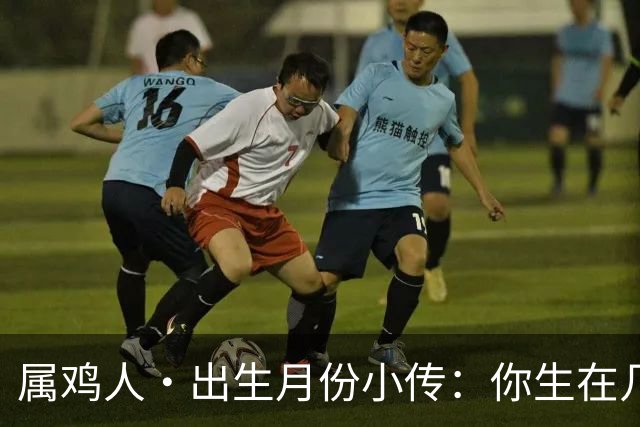 属鸡人·出生月份小传：你生在几月，就藏着你那身不肯乱的羽毛