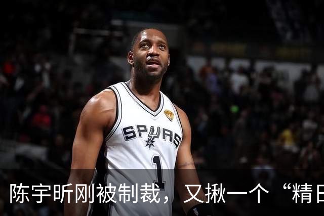 陈宇昕刚被制裁，又揪一个“精日”人员：竟然还是本土企业老板